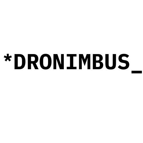 logotipo dronimbuso con fondo blanco